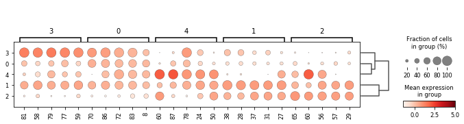 ../_images/examples_link_multiplex_if_19_2.png