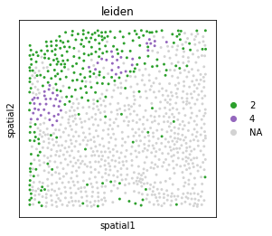 ../_images/examples_link_multiplex_if_21_1.png