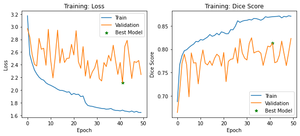 ../_images/examples_link_train_hovernet_17_0.png